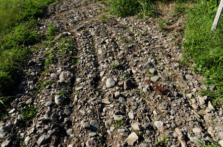 Texture of the brown soil with pebbles in the vineyard row in Kakheti, Georgiaの写真素材