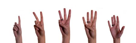 handsの写真素材