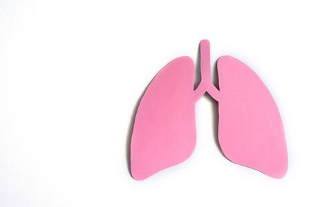 Pink paper lungs on the white background. Minimal paper art. Coronavirus Covid 19 concept. World...