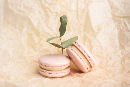 Two tasty french yellow colored macarons and eucalyptus on the beige wrinkle paper background. Colorful macarons. Front view.の写真素材