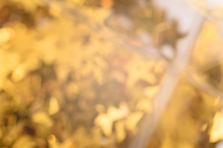 Abstract blurred bright orange beautiful glitter background. Trendy color of the year. Bright and colorful background.の写真素材