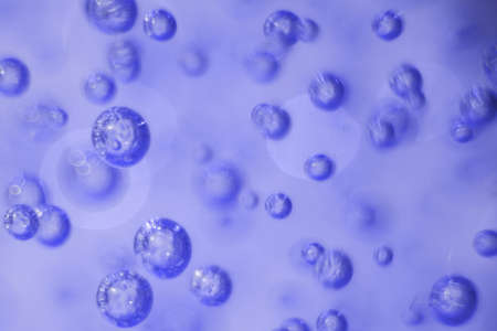 Many round bubbles of the shower gel on the blue background.の写真素材