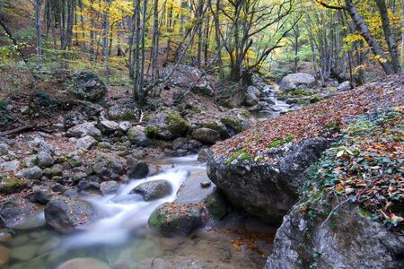 Beautiful quiet landscape in the autumn with the mountain river, the wood and a water currentの写真素材