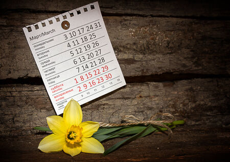 Yellow flower on a background of old boards in vintage styleの写真素材