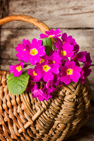 Beautiful flowers in a basket on an old wooden backgroundの写真素材