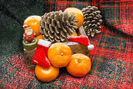 Tangerines and bumps in the snow in the New Yearの写真素材