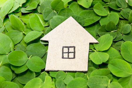 Cardboard house on the clover leaves. Building environmentally friendly housingの写真素材