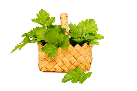 Parsley in a basket on a white backgroundの写真素材