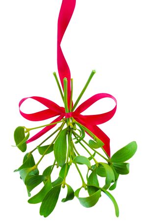 Mistletoe bunch hanged on red ribbon isolated on a white backgroundの写真素材