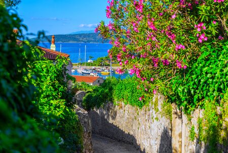 Wonderful romantic summer afternoon landscape coastline Adriatic sea. Narrow streets paved with stone. Krk island. Croatia. Europe.の写真素材