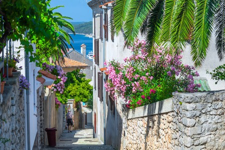 Traditional European Mediterranean architectural style in the streets and houses, yard, porches, stairs, shutters in the afternoon sunbeam, surrounded by vine, hydrangea and palm at summertime.Mali Losinj.の写真素材