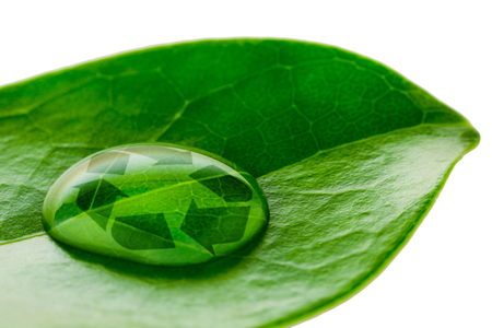 Beautiful water drop on a leaf shoot and recycle logo in macro lensの写真素材