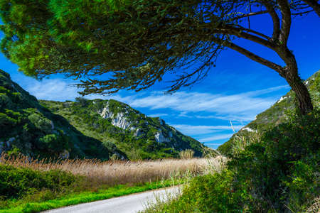 The trail, the pedestrian, in the valley of the Alcabrichel River and cane thickets along a banks, surrounded by evergreen trees on steep hills. Beautiful landscape near Vimeiro in Portugal.の写真素材
