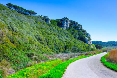 The trail, the pedestrian, car-free zone in the valley of the Alcabrichel River, surrounded by evergreen trees on steep hills. Peopleriding a bicycle. Landscape near Vimeiro in Portugal.の写真素材