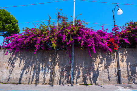 Typical views on the streets the city Sant'Agnello near Sorrento, Naples, Campania, Italy.の写真素材