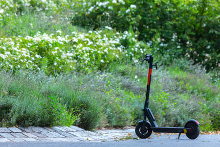 Modern city transport - electric scooter is parked in the city park near a flowerbed with lavender bushes.の写真素材