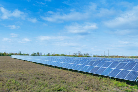 Solar panels, photovoltaic, alternative source environmentally friendly energy. In the backlight...