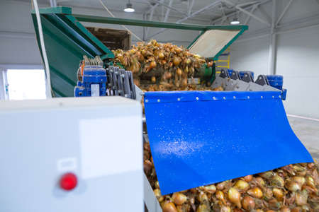 Control panel of conveyor sorting line. Production facilities for grading, packing and storage of crops, foods or goods of large agricultural companies. Onion bulbs sorts.の写真素材