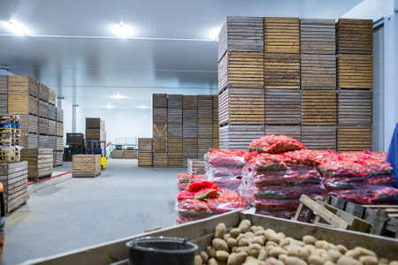 Potatoes storage. Crops warehouse. Dry cool storage. Selected root crops packed in a net for transportation. Wooden crates with not packed potatoes.の写真素材