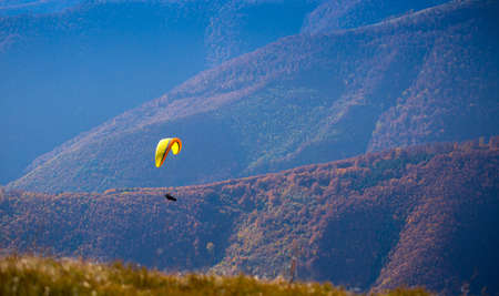 Paraglider flying over Carpathian mountains in summer autumn day. Borzhava. Ukraine.の写真素材