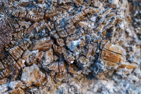 The mica sheets and quartz silicate minerals. Bare geological rock rock among the vegetation on the...