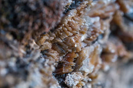 The mica sheets and quartz silicate minerals. Bare geological rock rock among the vegetation on the...