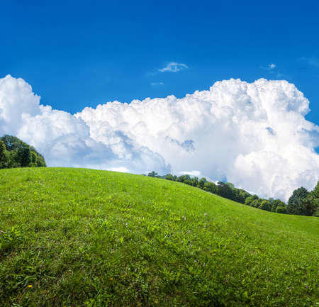 field of green grass and perfect clouds in blue skyの写真素材