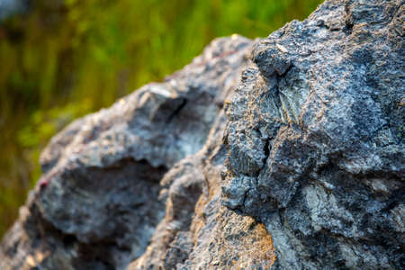 A rock in the shape of a scary skull in profile. The mica sheets and quartz silicate minerals. Bare geological rock rock among the vegetation on the ledges.の写真素材