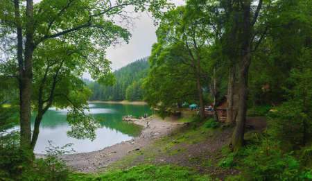 Panoramic view of beautiful lake in mountains. Spruce forest in cloudy weather reflected in...