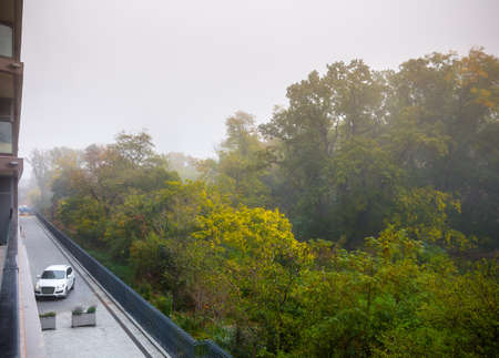 Autumn fog in the old majestic park. Colorful leaves on the trees. Adjacent territory of a comfortable apartment complex. Parked cars in parking lots.の写真素材