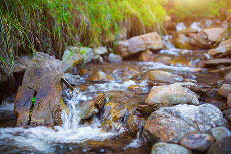 Mountain stream(creek) in the stones and green grass banks in mountain forest. Crystal clear water - rare condition of modern enviroment. Backlight warm sunbeam a light shallow fog. Long exposure.の写真素材