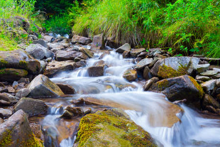 Mountain stream(creek) in the stones and green grass banks in mountain forest. Crystal clear water - rare condition of modern enviroment. Backlight warm sunbeam a light shallow fog. Long exposure.の写真素材