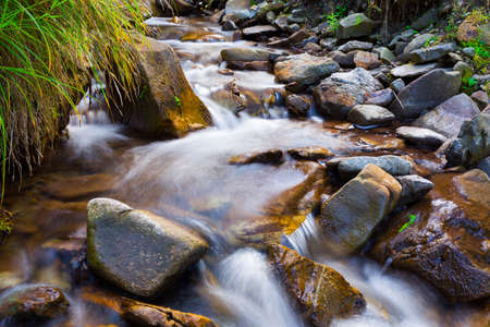 Mountain stream(creek) in the stones and green grass banks in mountain forest. Crystal clear water -...
