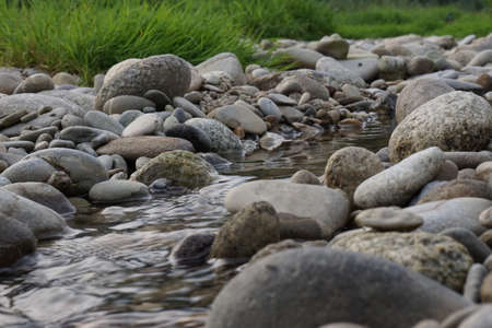 Green grass with stones and waterの写真素材