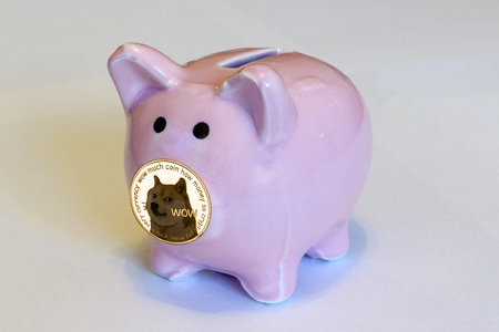 Piggy Bank with coins Dogecoin is the nose. To save cryptocurrency Doge. To invest in cryptocurrencies.の写真素材