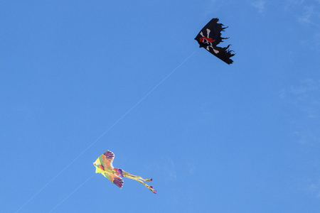 a kite in the shape of a pirate flag and birds in the blue skyの写真素材