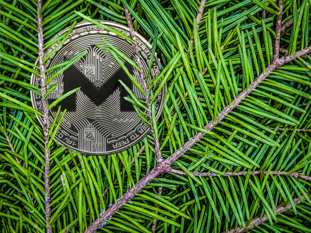 Coins of Monero on the branches of spruce. Christmas gift.の写真素材
