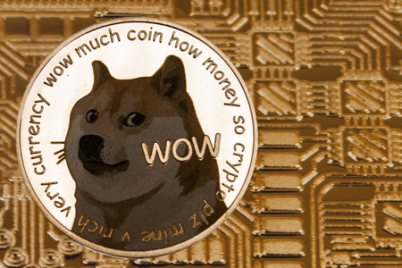 Siver coin Doge on the gold circuit background. Cryptocurrency Dogecoin.