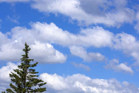 blue sky with beautiful fluffy, white cloudsの写真素材