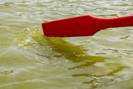 paddle boat when rowing on the lake