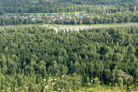 green trees and river in a mountain valleyの写真素材