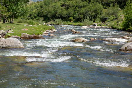 rough mountain river with rifts with clean cold water