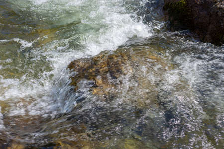 Gorny Altai, Russia. Small but rough mountain river