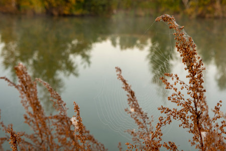 Morning fog on the lake at dawn. Colorful glow in the sky, with surrounding forest trees reflected in the calm water, in an atmospheric landscape. Calm autumn morningの写真素材