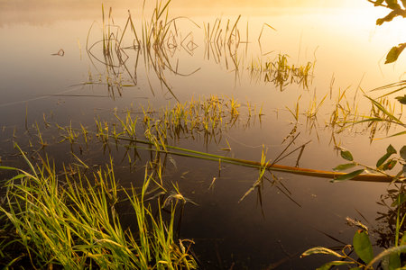 Morning fog on the lake at dawn. Colorful glow in the sky, with surrounding forest trees reflected in the calm water, in an atmospheric landscape. Calm autumn morningの写真素材