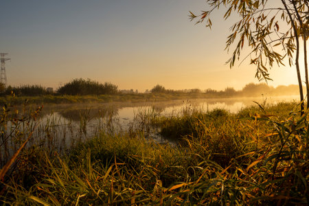 Morning fog on the lake at dawn. Colorful glow in the sky, with surrounding forest trees reflected...