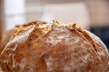 home-made bread wheat rye sourdough ovenの写真素材