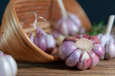 garlic bulbs and cloves arranged on an old board.の写真素材