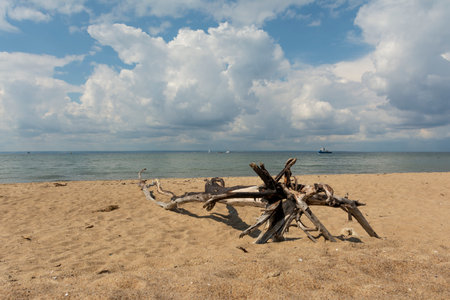 Hel, Pomeranian Voivodeship Poland - June 2 2022: Hel, the entrance to the beach on the headland, the view of the sea, sand, dunes, vegetation on the dunes.のeditorial素材