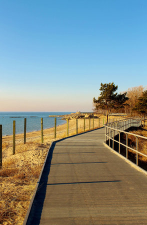 promenade on the beachの写真素材